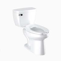 Two Piece Toilet