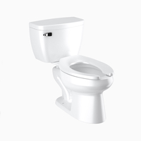 Two Piece Toilet