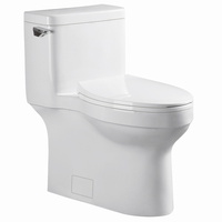 One Piece Toilet Elongated bowl