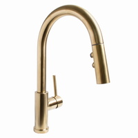  Neo Pull-Out Spray Kitchen Faucet - Aged Brass
