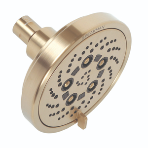 SS4600BBZE2 Duo Shower Head Shower Accessory - Brushed Bronze