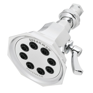 SS3019E15 Vintage Shower Head Shower Accessory - Polished Chrome