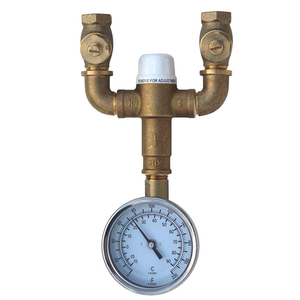 SSEFTW Thermostatic Valve Rough In Valve - Rough Brass