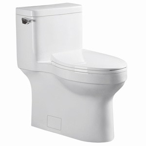 ST5001 Glenwynn One Piece Toilet - White