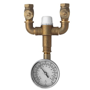 SSTW370 Thermostatic Valve Rough In Valve - Rough Brass