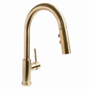 SSB1042BRB Neo Pull-Out Spray Kitchen Faucet - Aged Brass