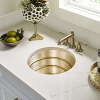  Quintana Dual Mount Bar Sink - Burnished Nickel / Satin Gold Accents