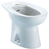 Over the Rim Bidet Faucet