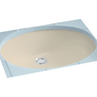 Undermount Bathroom Sink 21-1/4'' x 17-1/4''