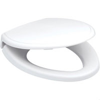 Toilet Seat Elongated bowl