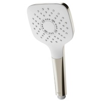  Hand Held Shower Shower Accessory - Polished Nickel