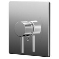 Non-Thermostatic Valve Trim