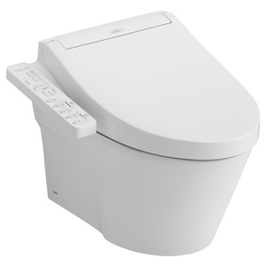 TCWT4263074CMFGMS One Piece Toilet - Matte Silver