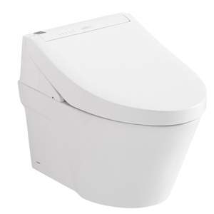 TCWT4263084CMFGMS One Piece Toilet - Matte Silver