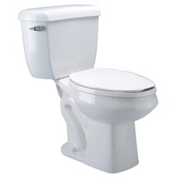 Two Piece Toilet