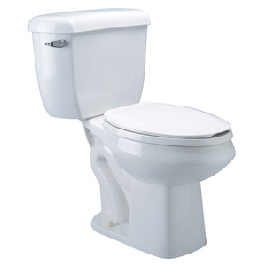 ZZ5571 Two Piece Toilet - White